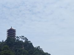 -缙云山景区