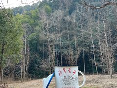-五泄景区