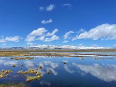 -花湖生态旅游区