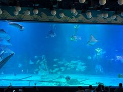 -烟台海昌鲸鲨海洋公园