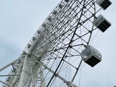 -横店影视城梦幻谷园区