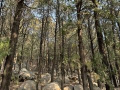 -泰山风景名胜区