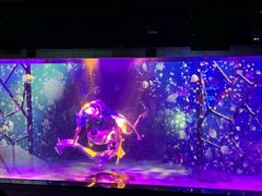 -顺德南宏海立方海洋公园
