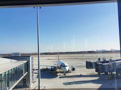 -青岛胶东国际机场