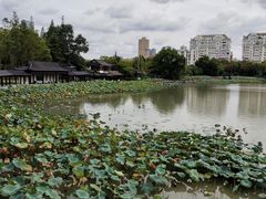 -南通濠河风景名胜区