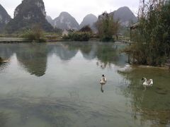 -靖西鹅泉风景区