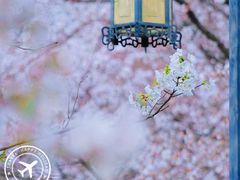 -苏州上方山国家森林公园