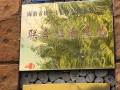 -海南槟榔谷黎苗文化旅游区