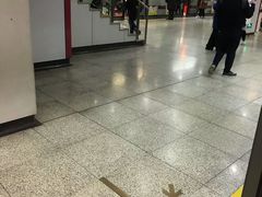 -桃浦新村(地铁站)