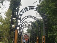 -金山农民画村-枫泾波兰倒置屋