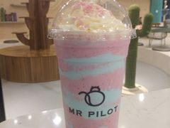 -飞行喵MR PILOT|猫舍·猫咖(静安大融城店)