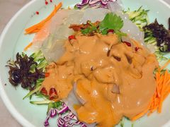 五彩鸡丝大拉皮-湘渝人家·川湘菜(十里河店)