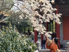 -鲤院·新中式美学·庭院餐厅(夫子庙店)