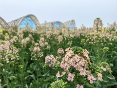 -中国天府农业博览园