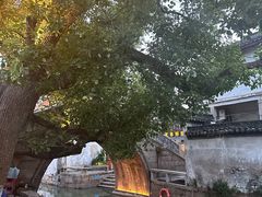 -观桥阁(锦溪店)