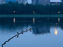 -莲花池公园