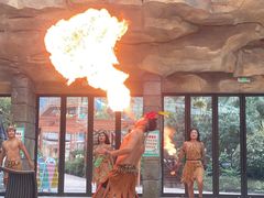 -杭州开元森泊度假乐园