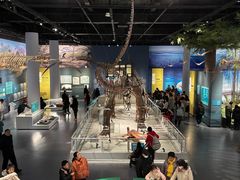 -国家自然博物馆