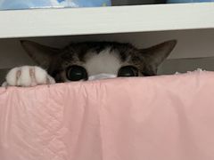 -萌兽医馆·眼科·异宠专科(三里屯店)