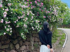 -白鹭湾湿地公园