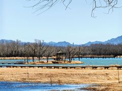-野鸭湖国家湿地公园