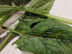 -龍歌自助小火锅(芝罘万达店)