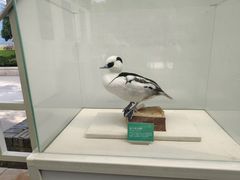 -陕西自然博物馆