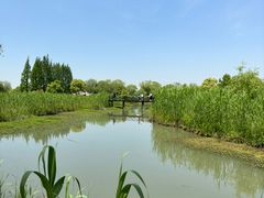 -沙家浜风景区