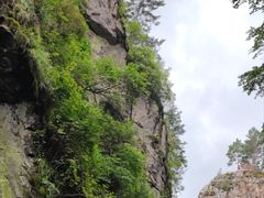 -茅兰沟国家森林公园