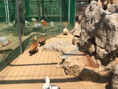 -羊亭河湿地公园