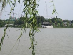 -梅园