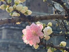 -玲珑塔公园
