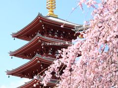 -浅草寺
