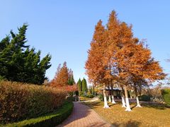 -黑石礁公园