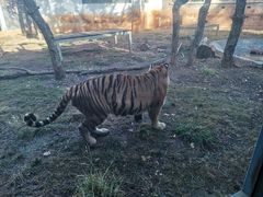 -昆明动物园
