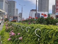 -大连福佳爱琴海购物公园(西安路店)