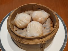 海钓野生虾饺皇-广州富力君悦大酒店空中花园
