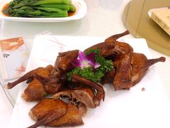 -锦粤宫·精致粤菜(深圳北站店)