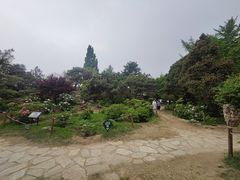 -国家植物园南园