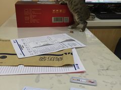 -芭比堂动物医院·24小时·眼科中心(深圳中心)