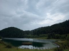 -武陵山森林公园