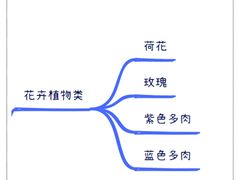 -八哥美术·成人美术画室(总校区)