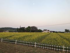 -苏州吴中太湖旅游区