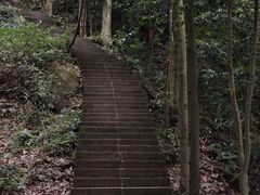 -凤栖山