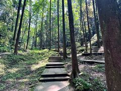 -凤栖山