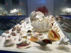 -福州罗源湾海洋世界旅游区