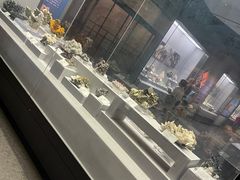 -湖南省地质博物馆