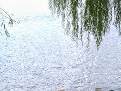 -东钱湖旅游度假区