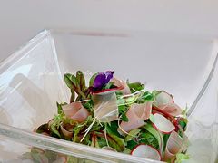 沙拉-潮上潮(南中环店)