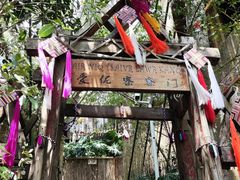-西双版纳原始森林公园